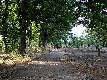 Agriturismo Terrenia Villa Trappitello